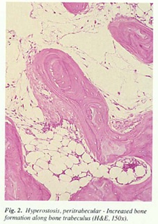 fig2.jpg