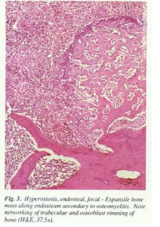 fig3.jpg