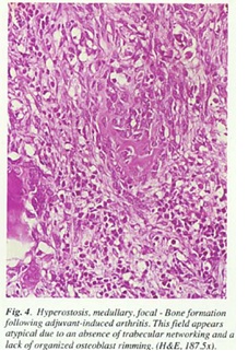 fig4.jpg