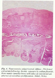 fig6.jpg