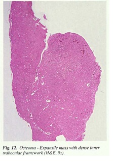 fig12.jpg