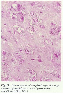fig15.jpg