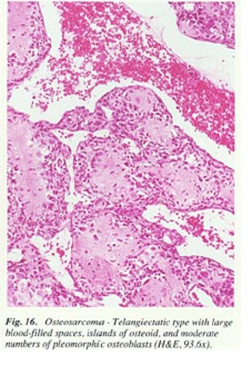 fig16.jpg