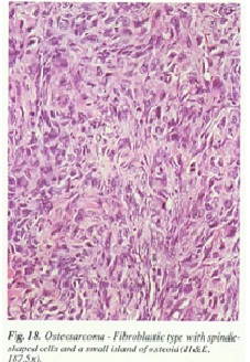 fig18.jpg