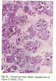 fig22.jpg