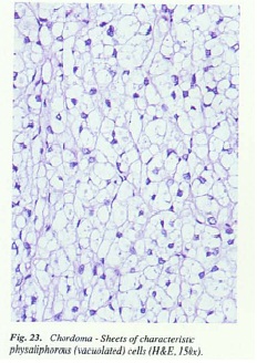 fig23.jpg