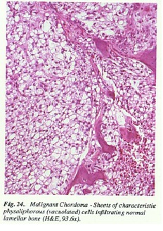 fig24.jpg