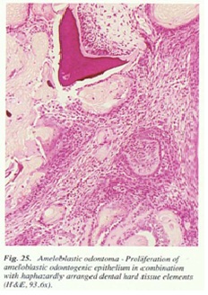fig25.jpg