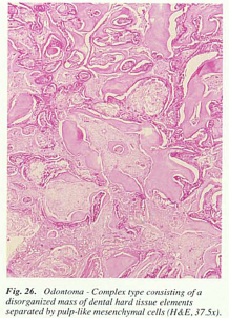 fig26.jpg
