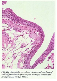 fig27.jpg