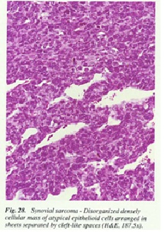 fig28.jpg
