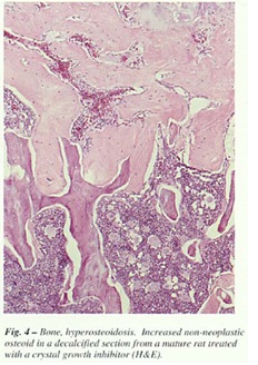 fig-4.jpg