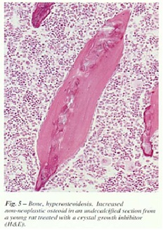 fig-5.jpg