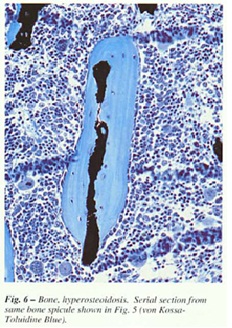 fig-6.jpg