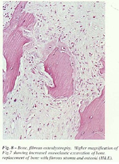 fig-8.jpg