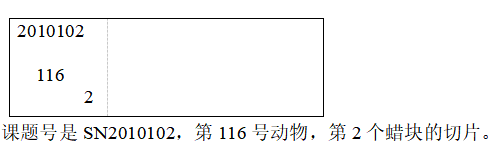 6c845833-67cb-45c7-b248-ddf58b1931e4.png