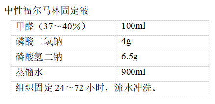 0958b4aa-088b-4b88-8b6c-1d4bdd8de518.png