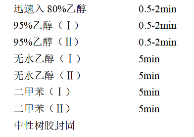 1fa15d68-b3c6-4cbb-ad61-74fd42739438.png