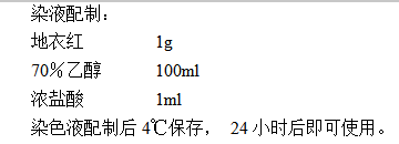 1ed3a086-d3e4-4463-8c3b-6b606b0b49cd.png