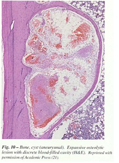 fig-10.jpg
