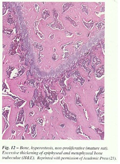 fig-12.jpg