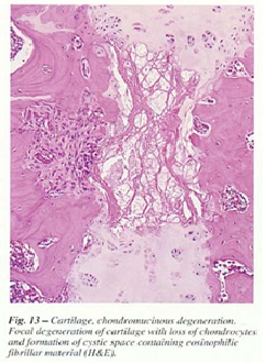 fig-13.jpg