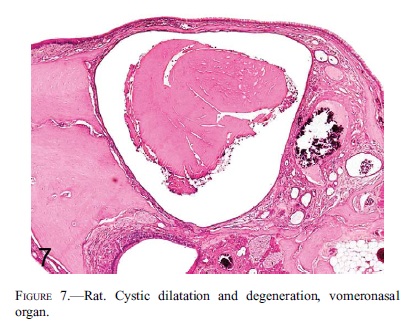 fig7.jpg