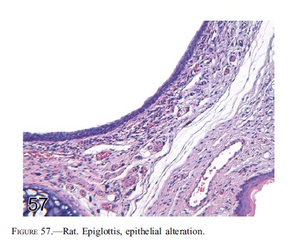 fig57.jpg