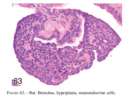 fig63.jpg