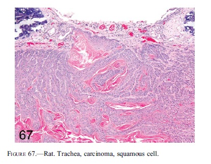 fig67.jpg