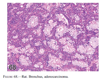 fig68.jpg