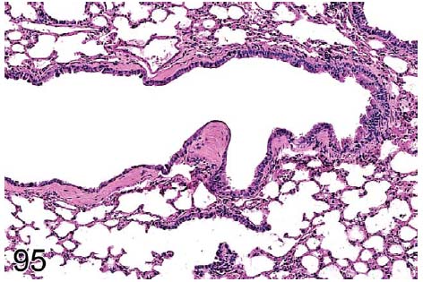 fig95.jpg