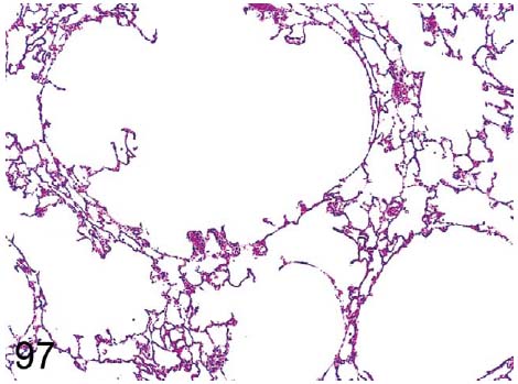 fig97.jpg