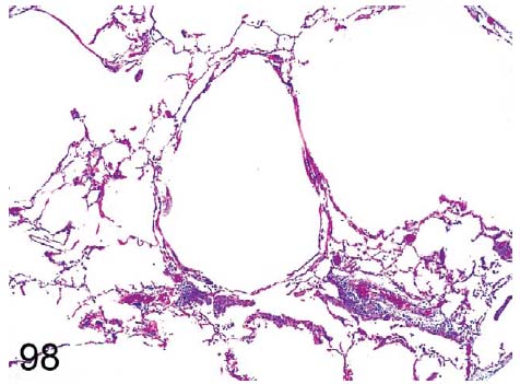 fig98.jpg