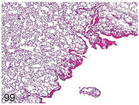 fig99.jpg
