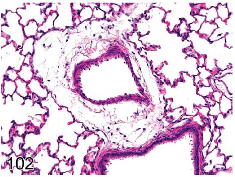 fig102.jpg