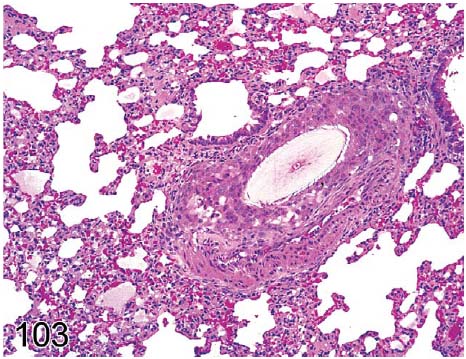 fig103.jpg