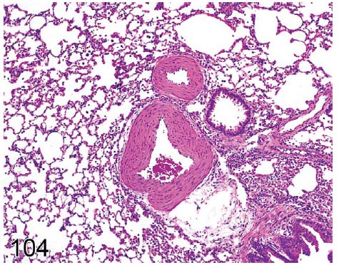 fig104.jpg