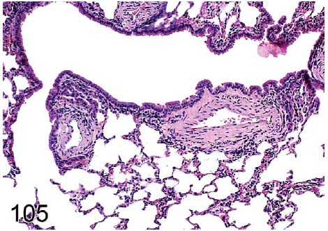 fig105.jpg
