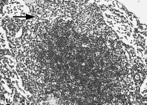 figure 2.bmp