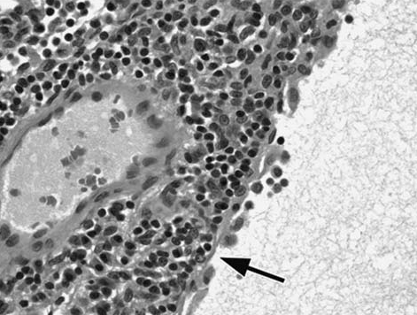 figure 3.bmp