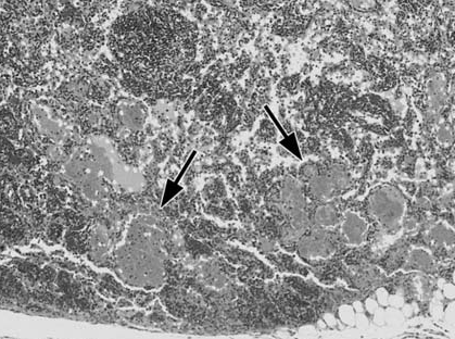 figure 4.bmp