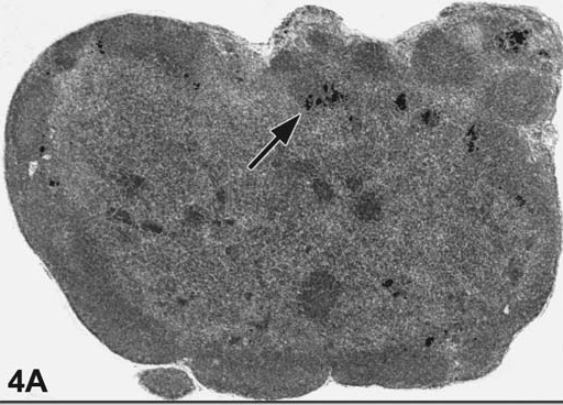 figure 5.bmp