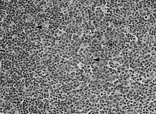 figure 8.bmp