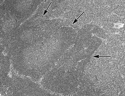 figure 9.bmp