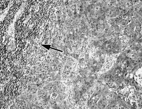 figure 13.bmp