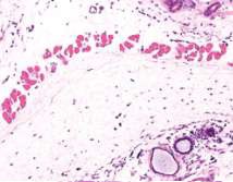 fig8.jpg