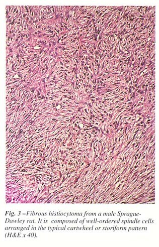 Fig3.jpg