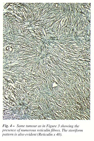 Fig4.jpg