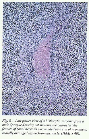 Fig8.jpg